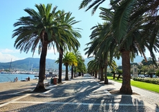 Die von Palmen gesäumte Strandpromenade von La Spezia