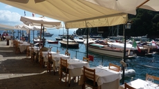 Restaurant at the porto of Portofino