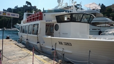 Ferry boat Portofino