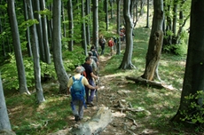 Schattige Waldabschnitte sorgen im Sommer für angenehme Temperaturen während der Wanderung in Ligurien