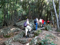 Liguria offers lots of moderate and challenging hiking trails!