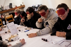 Das Blind Winetasting wird zum lustigen Teamevent