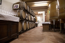 Die Wein-Olympiade findet in einer Weinkellerei in Italien statt